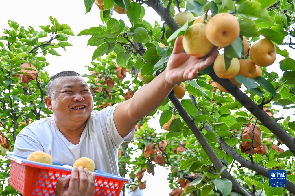 乐游游戏盒下载
